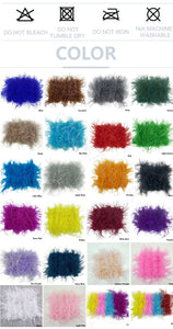 Ostrich Feather Mini Skirt and cropped Top Set