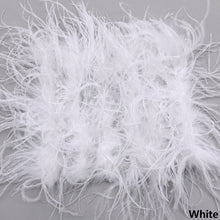 Load image into Gallery viewer, Ostrich Feather Mini Skirt and cropped Top Set
