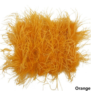 Ostrich Feather Mini Skirt and cropped Top Set