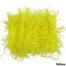 Load image into Gallery viewer, Ostrich Feather Mini Skirt and cropped Top Set
