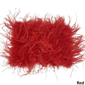 Ostrich Feather Mini Skirt and cropped Top Set