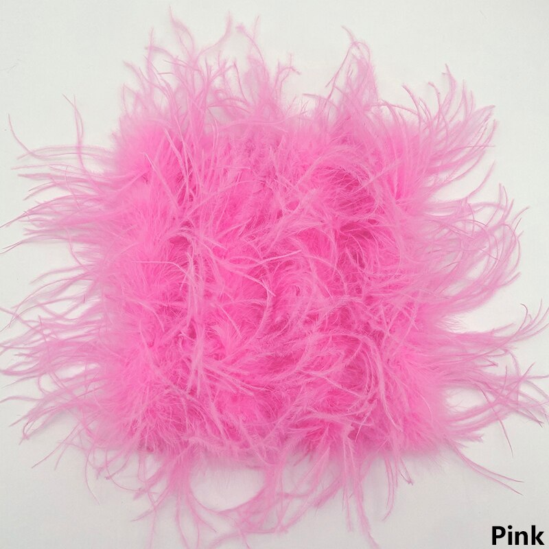Ostrich Feather Mini Skirt and cropped Top Set