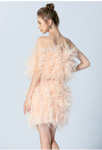 Load image into Gallery viewer, Ostrich Feather Mini Skirt and cropped Top Set
