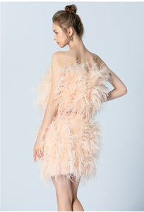 Ostrich Feather Mini Skirt and cropped Top Set