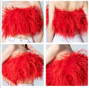 Carla's Red Ostrich Feather Crop Top